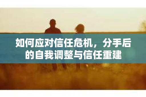 如何应对信任危机，分手后的自我调整与信任重建