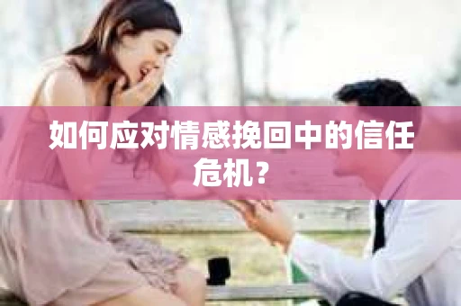 如何应对情感挽回中的信任危机？