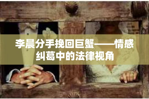李晨分手挽回巨蟹——情感纠葛中的法律视角