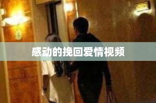 感动的挽回爱情视频