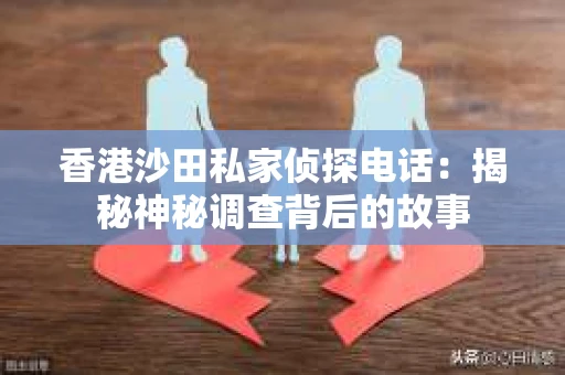 香港沙田私家侦探电话：揭秘神秘调查背后的故事