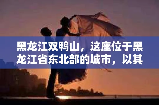 黑龙江双鸭山，这座位于黑龙江省东北部的城市，以其丰富的煤炭资源和独特的地理风貌而闻名。然而，在经济发展的背后，也存在着一些不容忽视的社会问题，其中之一便是催收。今天，我们就来聊聊黑龙江双鸭山的催收那些事儿。