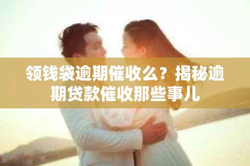 领钱袋逾期催收么？揭秘逾期贷款催收那些事儿