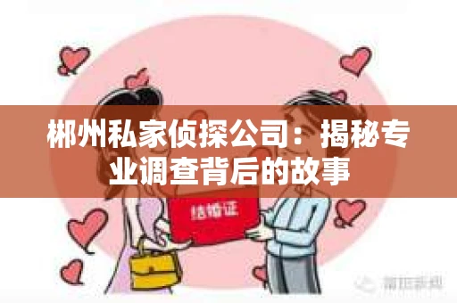 郴州私家侦探公司：揭秘专业调查背后的故事