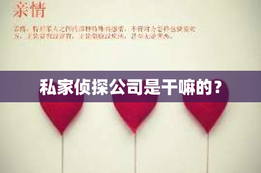 私家侦探公司是干嘛的？