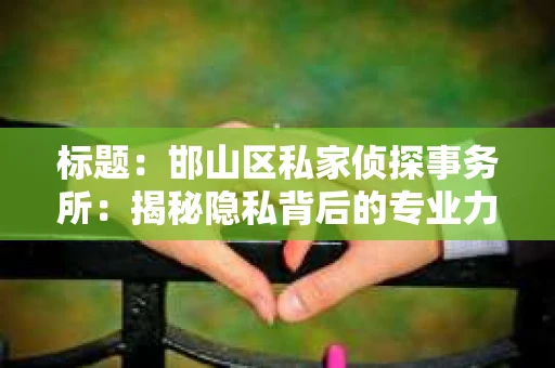 标题：邯山区私家侦探事务所：揭秘隐私背后的专业力量
