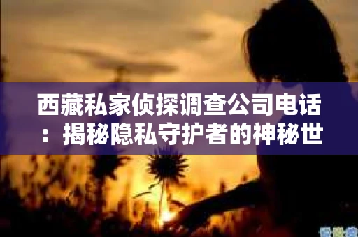 西藏私家侦探调查公司电话：揭秘隐私守护者的神秘世界