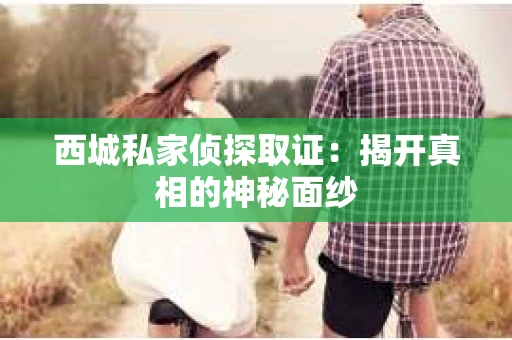 西城私家侦探取证：揭开真相的神秘面纱