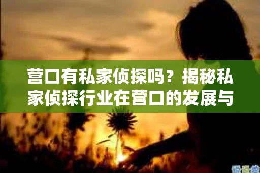 营口有私家侦探吗？揭秘私家侦探行业在营口的发展与现状