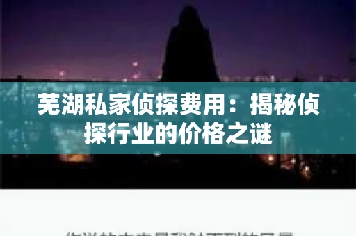 芜湖私家侦探费用：揭秘侦探行业的价格之谜