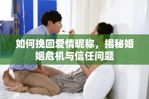 如何挽回爱情昵称，揭秘婚姻危机与信任问题