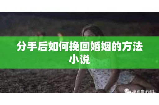 分手后如何挽回婚姻的方法小说