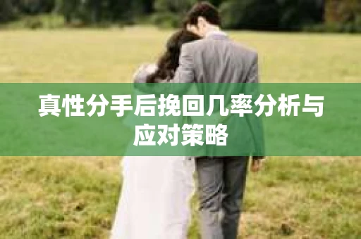 真性分手后挽回几率分析与应对策略