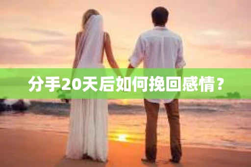 分手20天后如何挽回感情？